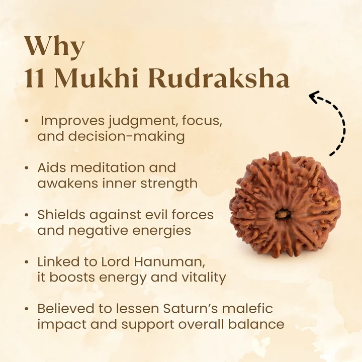 11 Mukhi Rudraksha Benefits - Ramkart