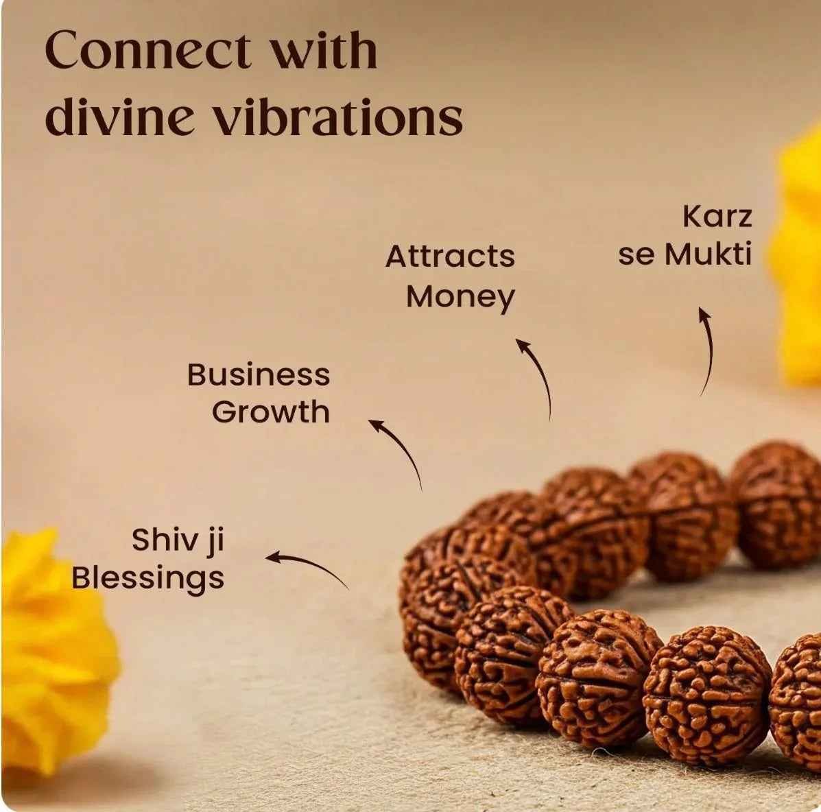 7_Mukhi_Rudraksha_beads Benefits - ramkart