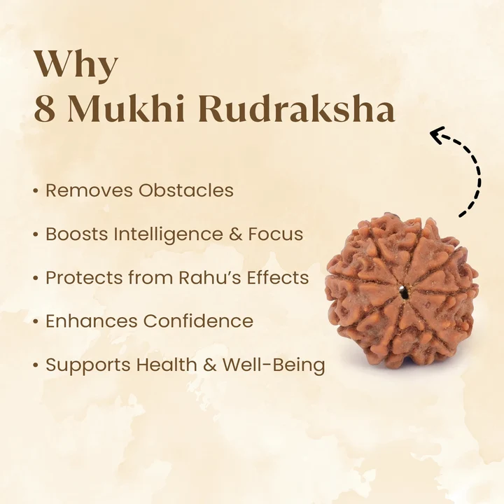 8 Mukhi Rudraksha benefits - Ramkart