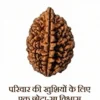 Natural 2 Mukhi Nepali Rudraksha bead showing clear two mukhi lines – lab certified