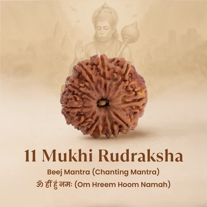 Hanuman Rudraksha - Ramkart