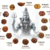 Rudraksha Beads