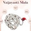 Original Vaijayanti japa Mala with Rudraksha & Moira Stone